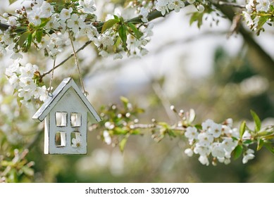 Little Wooden House In Spring With Blossom Cherry Flower Sakura