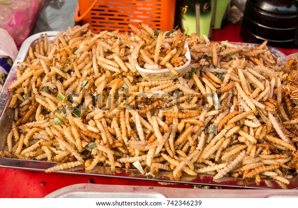 Little Worm Snack Disgusting Food Thailand Stock Photo (Edit Now) 742346239