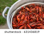 Live Crawfish