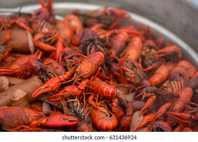 Live Crawfish