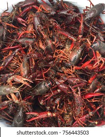 Live Crawfish In Bucket