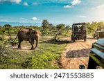 Live cute elephant on safari tour. Udawalawe Sri Lanka. Vacation theme