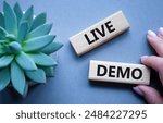 Live Demo symbol. Concept word Live Demo on wooden blocks. Beautiful grey background with succulent plant. Businessman hand. Business and Live Demo concept. Copy space