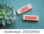 Live Demo symbol. Concept word Live Demo on wooden blocks. Beautiful grey green background with succulent plant. Business and Live Demo concept. Copy space