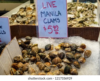 Live Manila Clams In Ice For Sale For 5.99 USD In A Fishermans Market