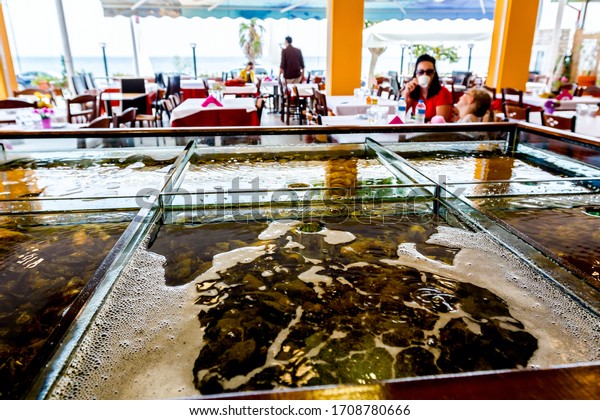 Live sea animals are in\
divided aquarium, tank at traditional seafood restaurant for sale,\
sea shells.