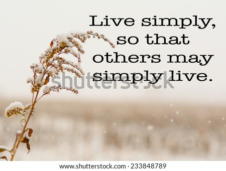 Live Simply Quote Simple Weed Corn Stock Photo Edit Now 60 Mesmerizing Nsc Stock Quote Live Simply Quote Simple Weed Corn Stock Photo Edit Now 60 Mesmerizing Nsc Stock Quote