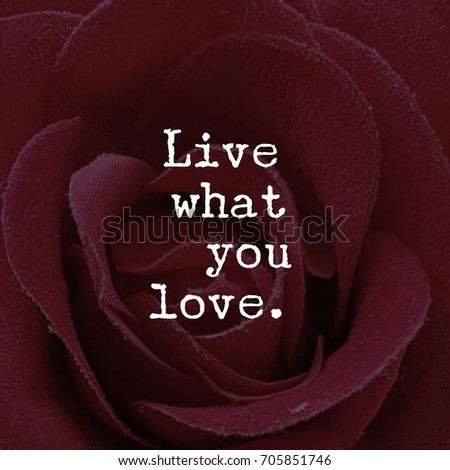 Live What You Love Quote Inspirational Stock Photo Edit Now