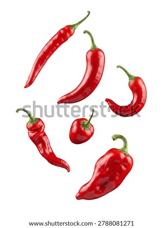 A lively composition of various fresh red chili peppers, including long, curved, and bell-shaped varieties.