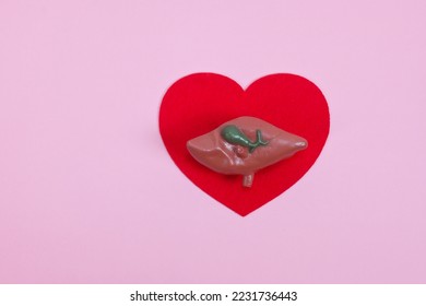 liver organ on heart shape background , caring health concern concept, prevention from liver disease , detoxify organ, important organ love and feel grateful for your body - Shutterstock ID 2231736443