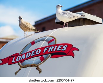 Liverpool UK Sept 2022 Pair Of Seagulls Stood On Top Of Fast Food Van