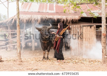 The lives of women with buffalo in the countryside,Asian girl wearing traditional Thai dress at farmland.