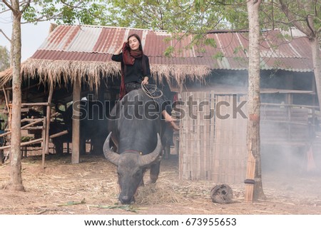 The lives of women with buffalo in the countryside,Asian girl wearing traditional Thai dress at farmland.