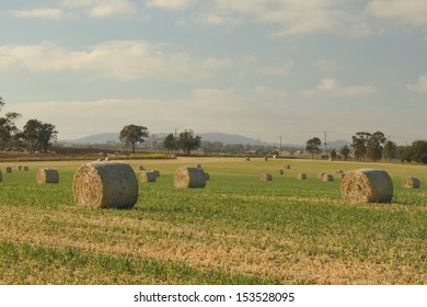 Livestock Feed Crops And Bales Of Hay On The Darling Downs Region Toowoomba Queensland Australia