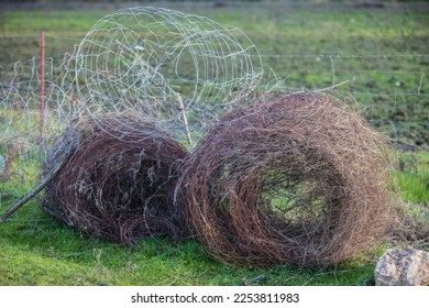 Livestock fence removed and rolled up. Country shot - Powered by Shutterstock