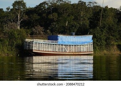 Livestock Truck In The Amazon, Brazil.