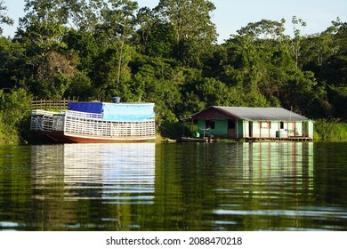 Livestock Truck In The Amazon, Brazil.