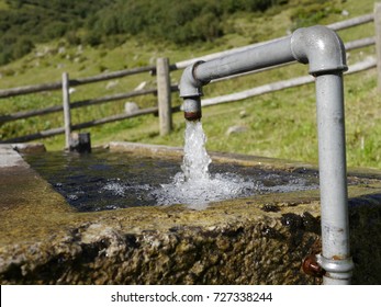 livestock watering
