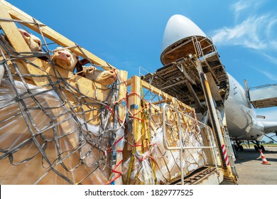 Livestock In Wooden Boxes Secured By Nettings Being Offloaded By A High-loader From A Jumbo Jet With A Wide Open Cargo Door At The Front Of The Plane