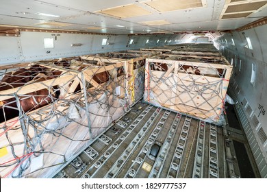 Livestock In Wooden Boxes Secured By Nettings Being Shipped On The Main Deck Cargo Hold Of A Jumbo Jet Freighter Aircraft