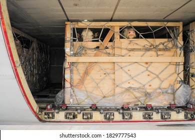Livestock in wooden boxes secured by nettings being shipped in the lower cargo hold of a Jumbo Jet freighter aircraft
