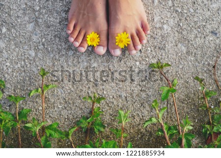Similar – Image, Stock Photo Women’s feet barefoot with bow tie