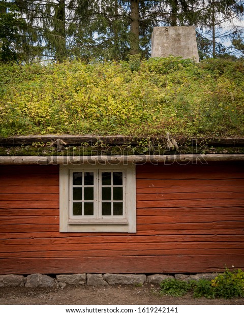 A living roof on a\
scandinavian house