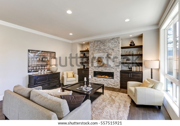 Living Room Interior Gray Brown Colors Stock Photo Edit Now