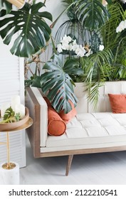 Living room with light color sofa and tropic plants. Stylish interior with big monstera and sofa