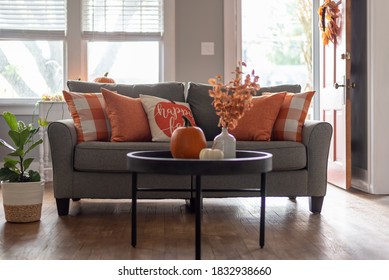 Living Room With Lots Of Natural Light And Stylish Fall Decor