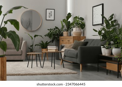 Living room with stylish furniture and beautiful houseplants. Interior design