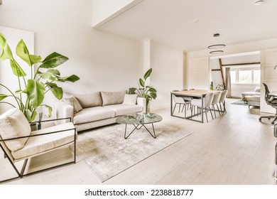 a living room with white walls and hardwood flooring, including a large green plant in the center of the room - Powered by Shutterstock