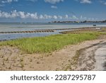 A living shoreline restoration project on the shores of Tampa Bay with oyster reef balls, marsh grass and bagged fossilized shell with a waterfront community in the background.