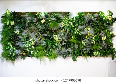 Living Wall With Exotic Plants