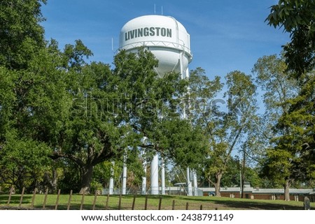 Livingston water tower seen behind the trees in Polk County, Texas, United States