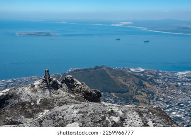 Lizard enjoying the view Tablemountain