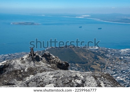 Lizard enjoying the view Tablemountain