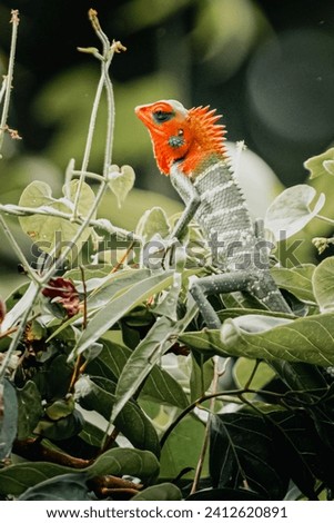 The lizard on small tree leaves in jungle cinematic green look edited photograph