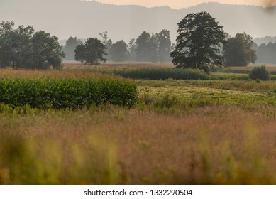 Ljubljana Marshes In Late Summer Of 2018