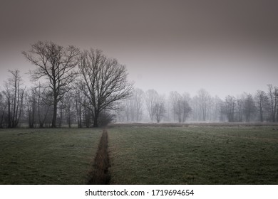 Ljubljana Marshes On Foggy Spring Morning