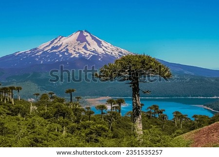 Llaima Volcano, National Park Conguillio Chile