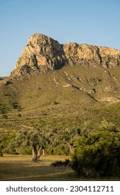 Llevant Peninsula Natural Park, Arta, Mallorca, Balearic Islands, Spain - Shutterstock ID 2304112711