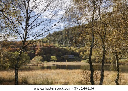 Llyn Geirionydd lake in Gwydyr Forest Park in autumn in Snowdonia National Park. Trefriw, Conwy, North Wales, UK, Britain, Europe