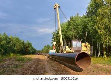 LNG Pipeline Construction Project  For Global Exports Of Natural Gas. Building Of Transit Petrochemical Pipe In Forest Area. Carry Diluted Bitumen And Crude To International Markets. Oil And Gas