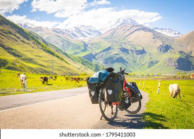 Loaded with bags red bicycle  stands on the side of the road surounded by cows in a countryside of KAzbegi national park. Bicycle touring holiday.