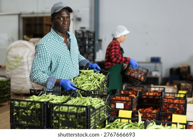 Loader dragging boxes of beans in a vegetable processing factory