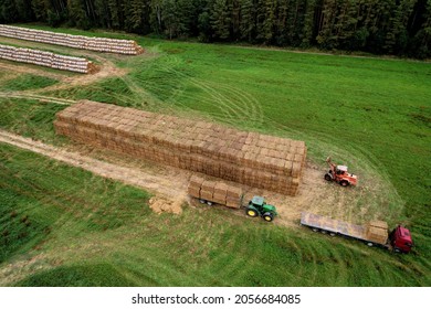 Loader At Unload Round Bales Of Straw From Hay Trailer. Store Hayat Farm. Hay Forage Feed For Beef And Dairy Cattle. Making Hay In Autumn On John Deere Tractor. Russia, Smolensk, Sept 17, 2021