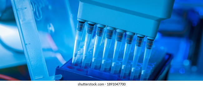 loading amplified DNA samples to agarose gel with multichannel pipette - Powered by Shutterstock