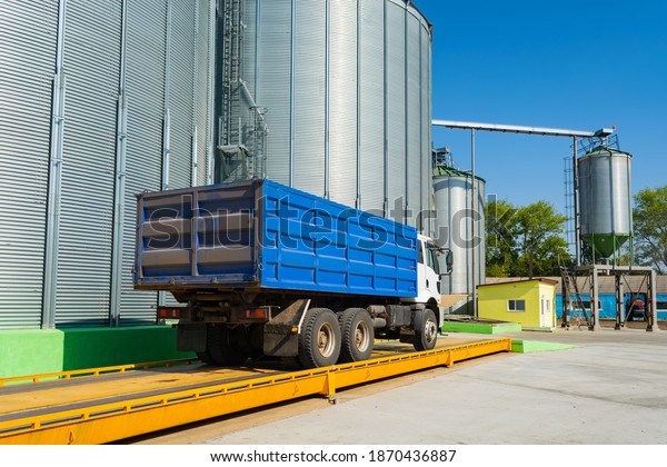 loading grain by trucks onto the elevator into\
metal containers