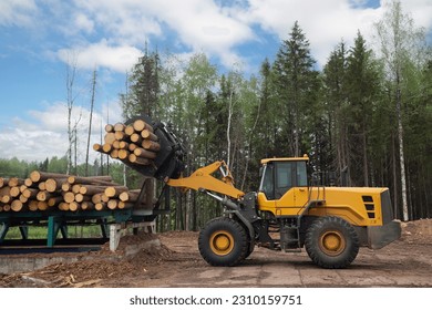 Loading logs with a special loader.Timber products warehouse on a specialized site.
